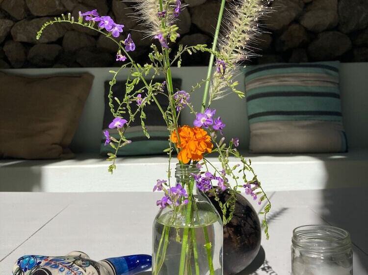 مبيت وإفطار Yaxa Hotel Nosara