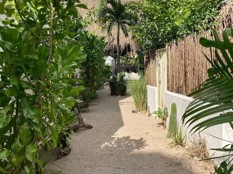 مبيت وإفطار Yaxa Hotel Nosara