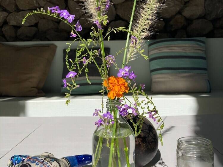 مبيت وإفطار Yaxa Hotel Nosara