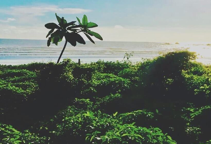 مبيت وإفطار Yaxa Hotel Nosara