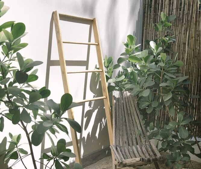 مبيت وإفطار Yaxa Hotel Nosara