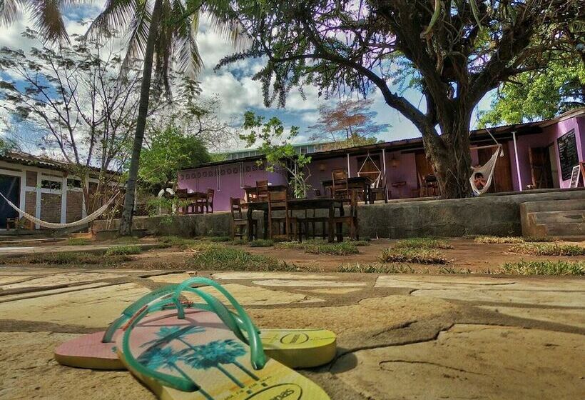 Isla Encantada Hostel