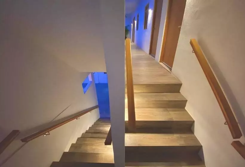 ペンション Casa Palo Verde