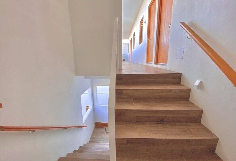 Pansiyon Casa Palo Verde