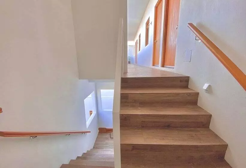 ペンション Casa Palo Verde