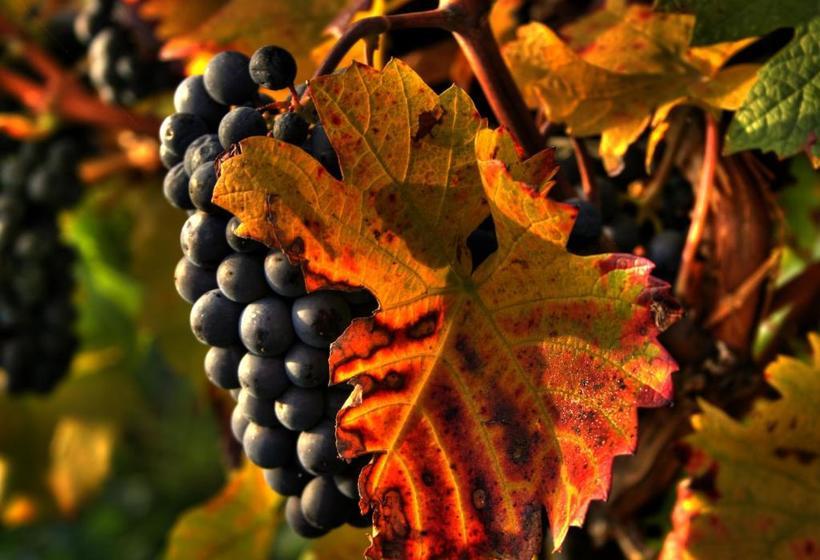 پانسیون Zur Ludwigsbahn