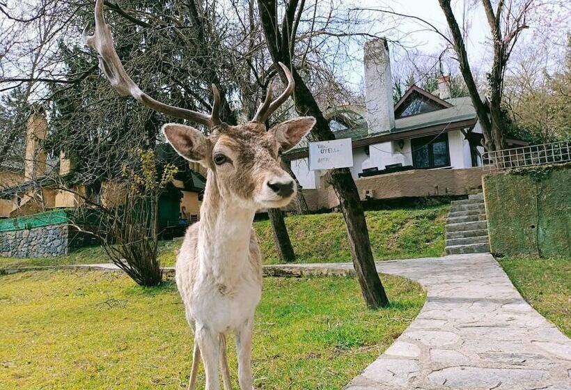אתר נופש Polonezköy Country Club & Accommodation In The Wildlife Park!