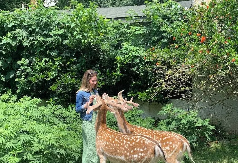 リゾートホテル Polonezköy Country Club & Accommodation In The Wildlife Park!