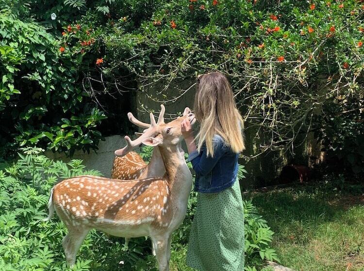 אתר נופש Polonezköy Country Club & Accommodation In The Wildlife Park!