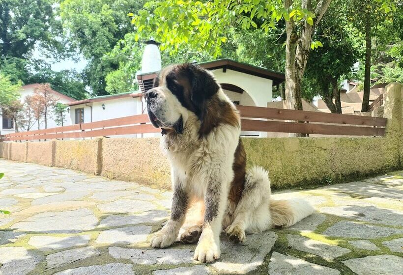 אתר נופש Polonezköy Country Club & Accommodation In The Wildlife Park!