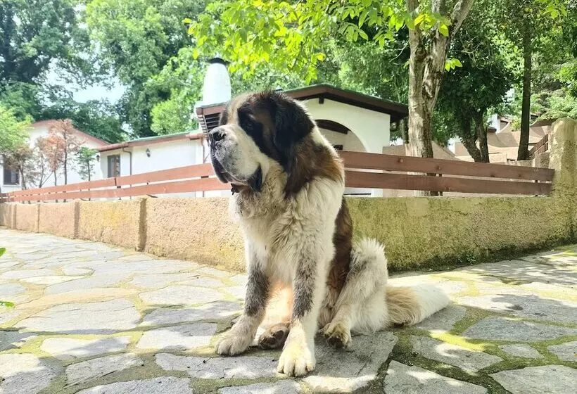 リゾートホテル Polonezköy Country Club & Accommodation In The Wildlife Park!