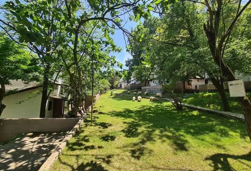 リゾートホテル Polonezköy Country Club & Accommodation In The Wildlife Park!