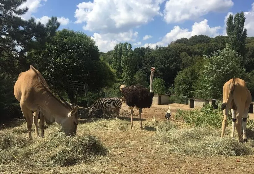 リゾートホテル Polonezköy Country Club & Accommodation In The Wildlife Park!