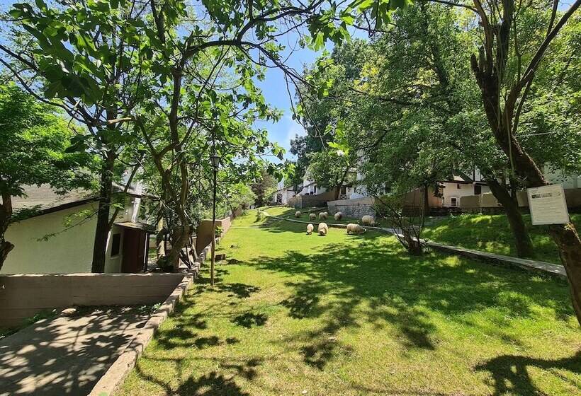 אתר נופש Polonezköy Country Club & Accommodation In The Wildlife Park!