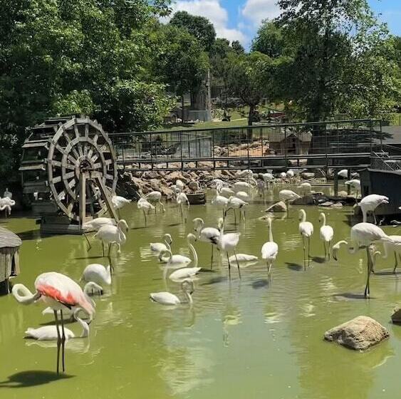 אתר נופש Polonezköy Country Club & Accommodation In The Wildlife Park!