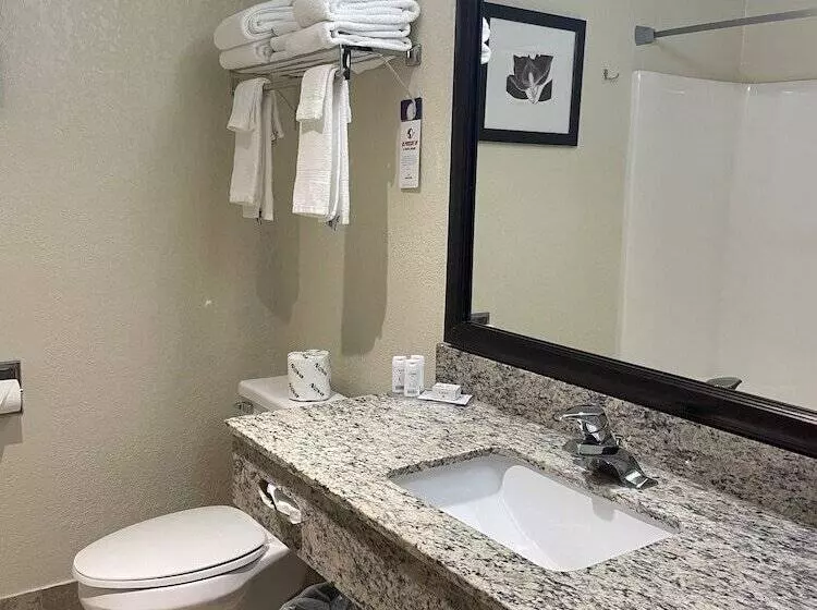 فندق على الطريق Americinn By Wyndham Petoskey