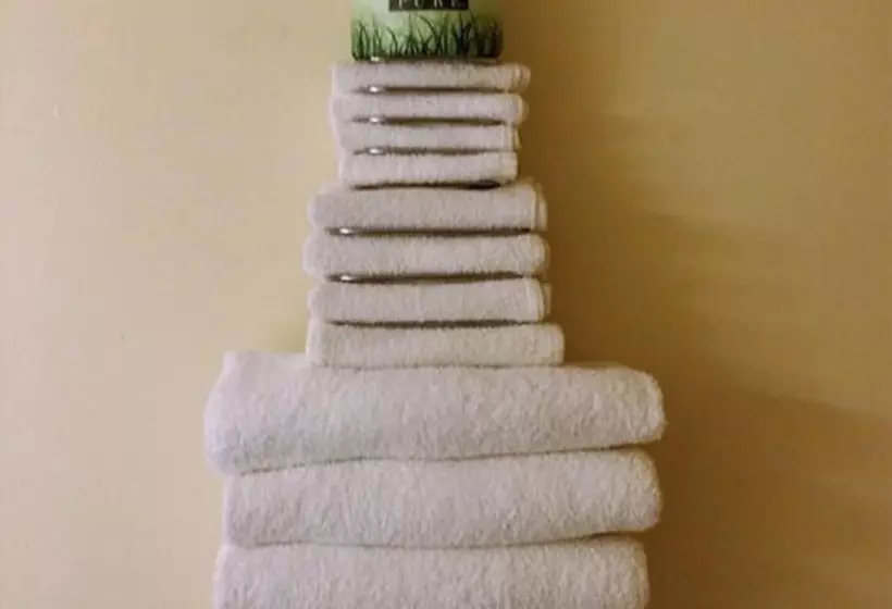 מוטל Enfield Inn