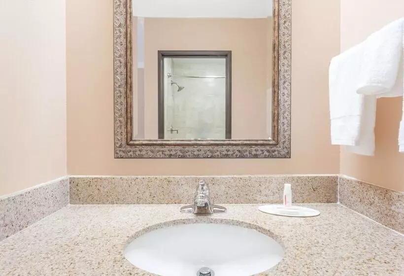 汽车旅馆  Super 8 By Wyndham Owensboro