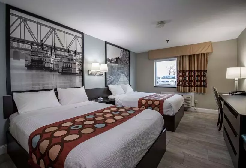 汽车旅馆  Super 8 By Wyndham Owensboro