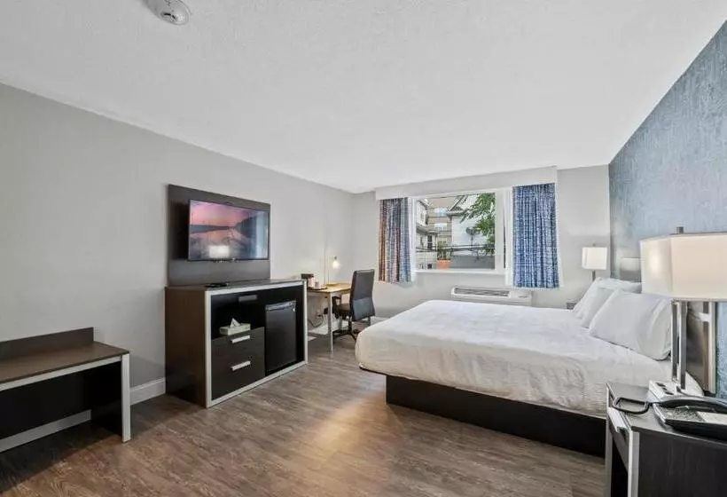 汽车旅馆  Inn On Arsenal