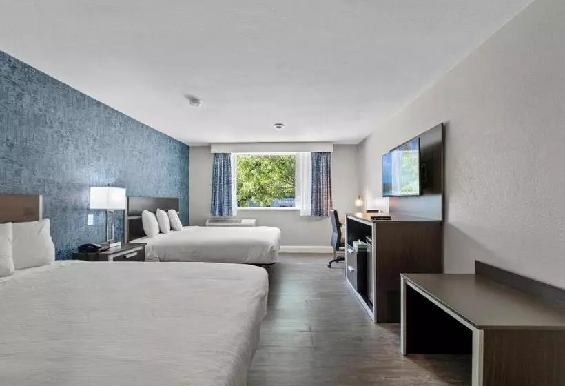 汽车旅馆  Inn On Arsenal