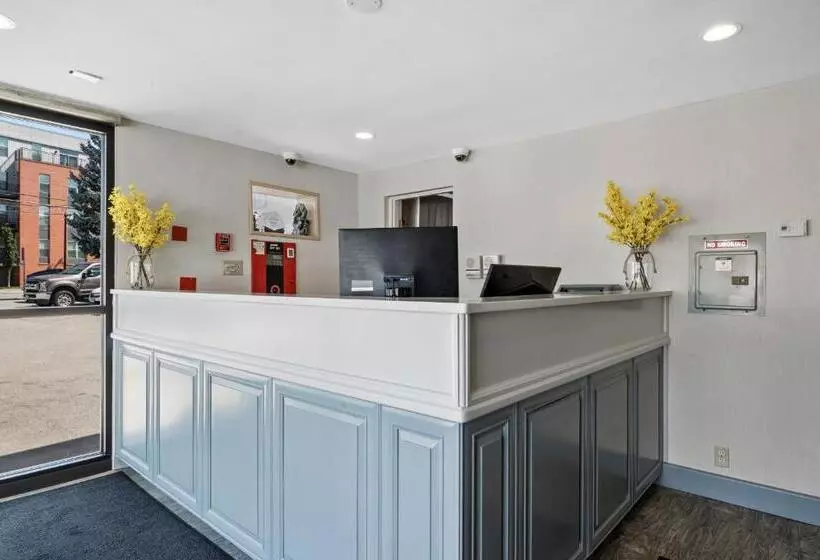 汽车旅馆  Inn On Arsenal