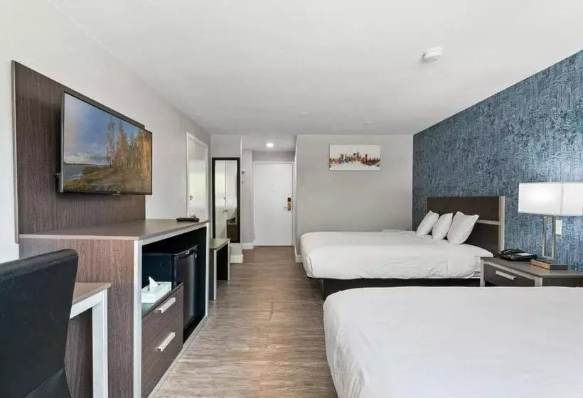 汽车旅馆  Inn On Arsenal