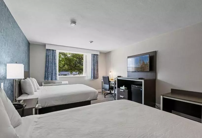 汽车旅馆  Inn On Arsenal