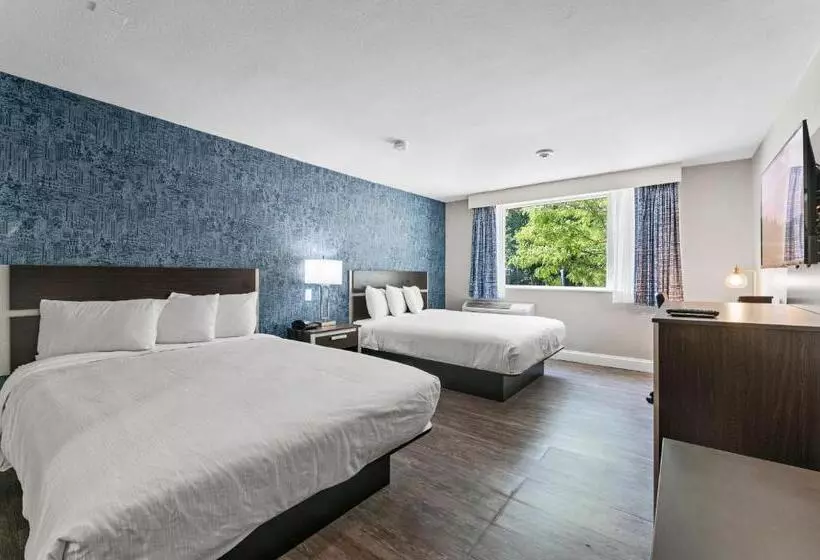 汽车旅馆  Inn On Arsenal