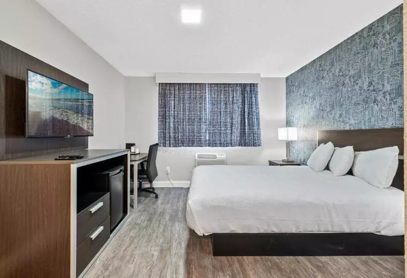 汽车旅馆  Inn On Arsenal