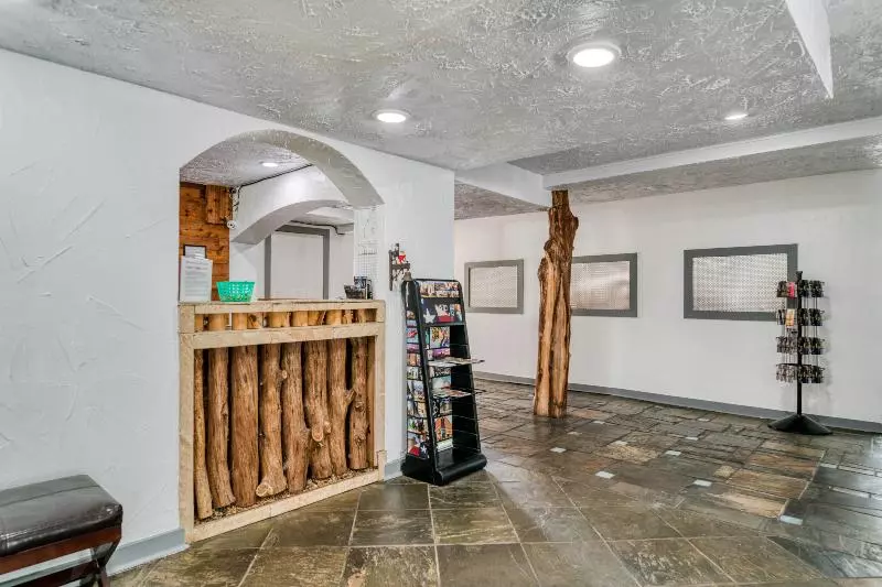 OYO Hotel Houston, TX near Medical Center/NRG Stadium