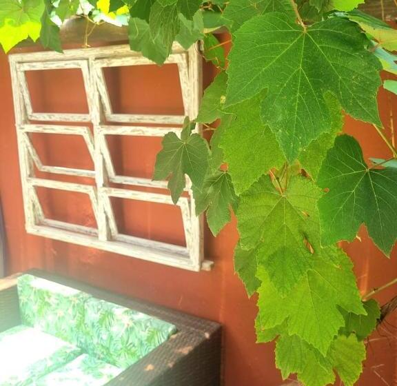 膳宿费 Vila Jabutis