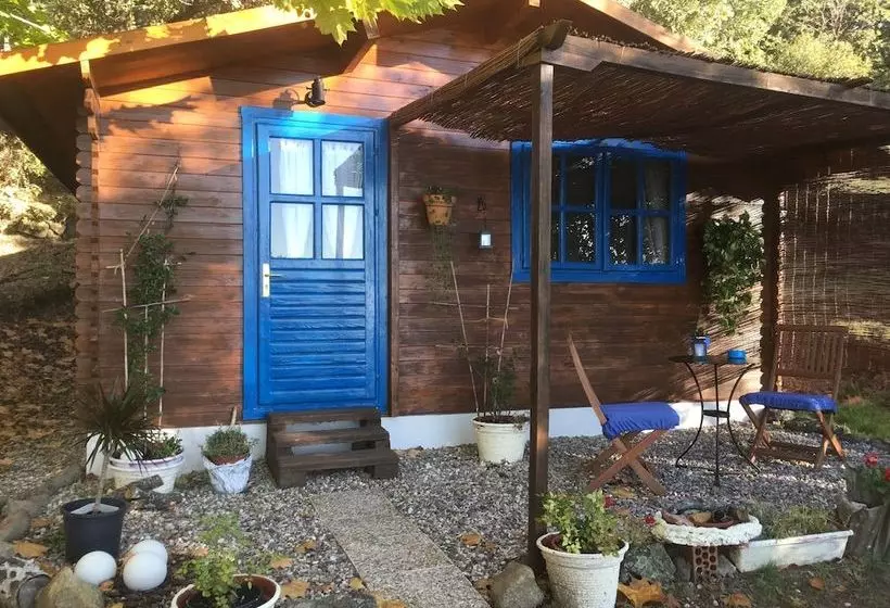 Bed & Breakfast Finca Miraval