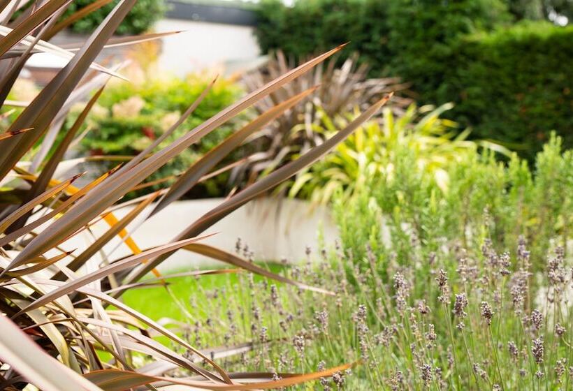 Contemporary Bright House 20 Min To Manc