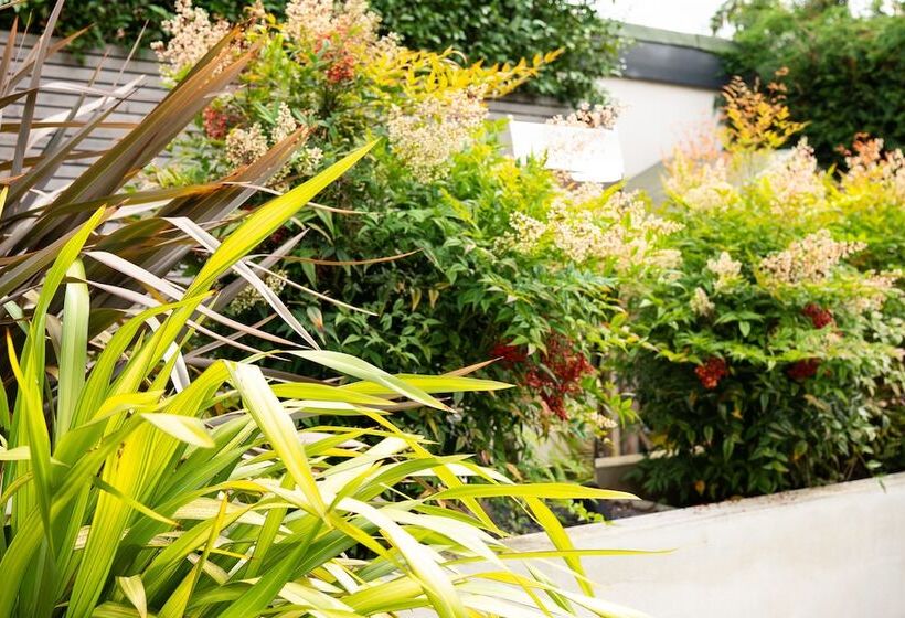 Contemporary Bright House 20 Min To Manc