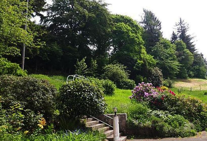 酒店 Green Corner Nürburg