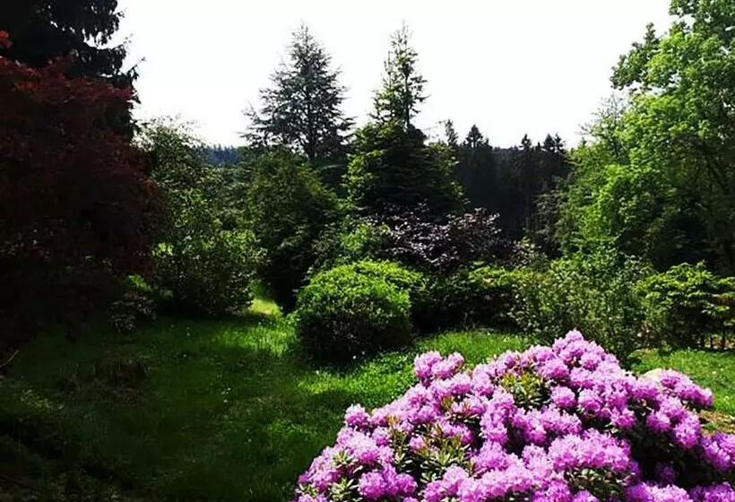 Hotelli Green Corner Nürburg