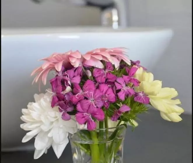 Majatalo Vineyard Views Country House