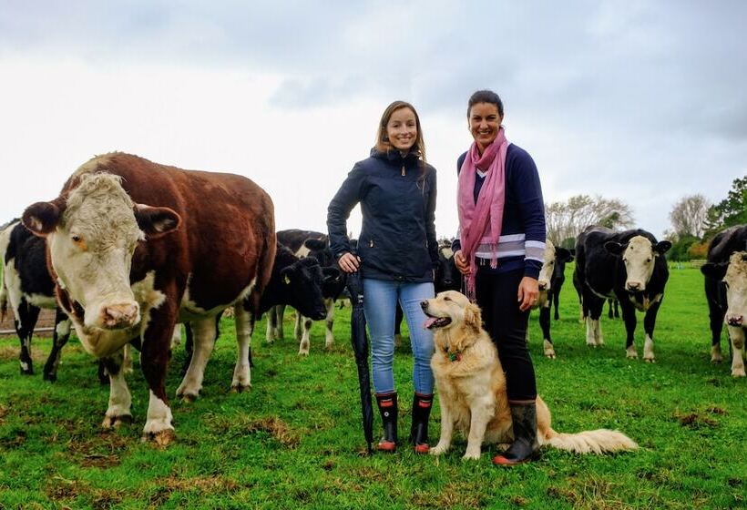 Lakeview Lodge Karapiro