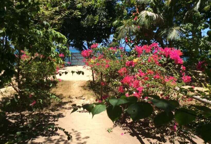 ペンション Casa Felicidad