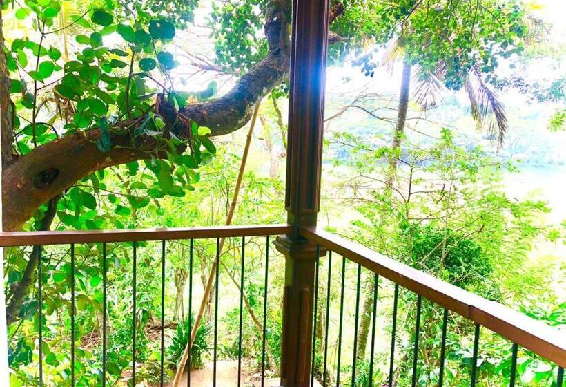 Pensão The River Lodge