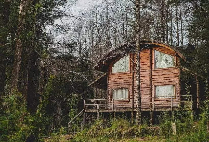 Hotelli Huilo Huilo Cabanas Del Bosque