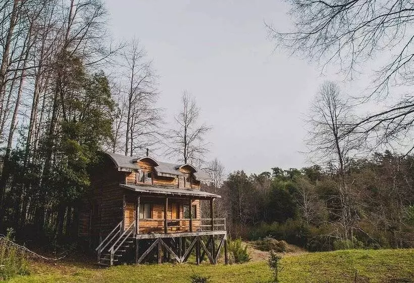 Hotelli Huilo Huilo Cabanas Del Bosque
