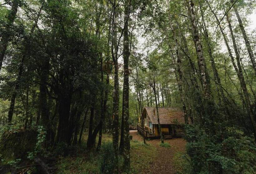 Hotel Huilo Huilo Cabanas Del Bosque