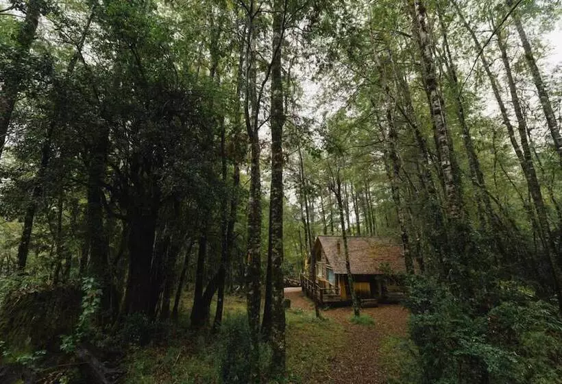 Hotelli Huilo Huilo Cabanas Del Bosque