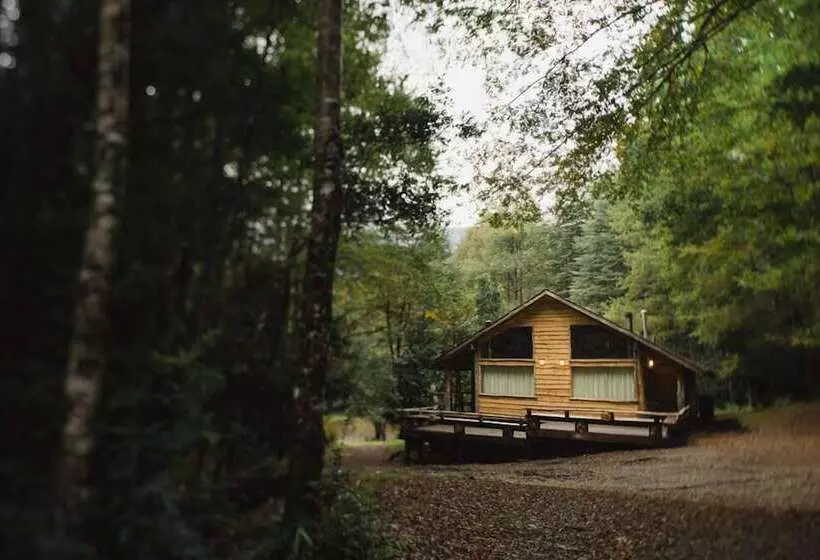 Hotelli Huilo Huilo Cabanas Del Bosque