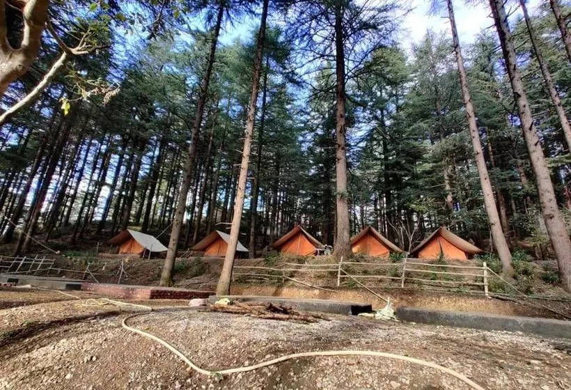 ベッドアンドブレックファースト Himtrekstays,mcleodganj