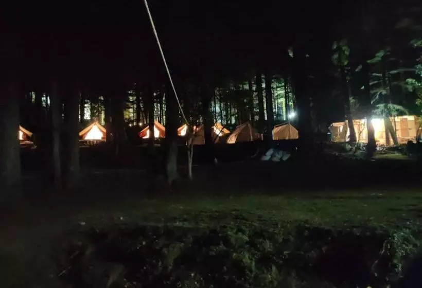 ベッドアンドブレックファースト Himtrekstays,mcleodganj