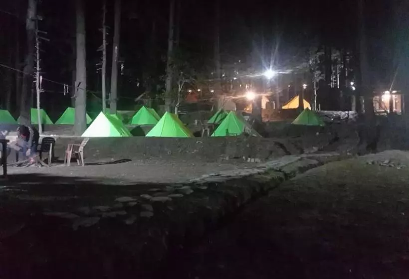 ベッドアンドブレックファースト Himtrekstays,mcleodganj