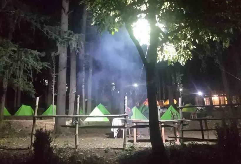 ベッドアンドブレックファースト Himtrekstays,mcleodganj